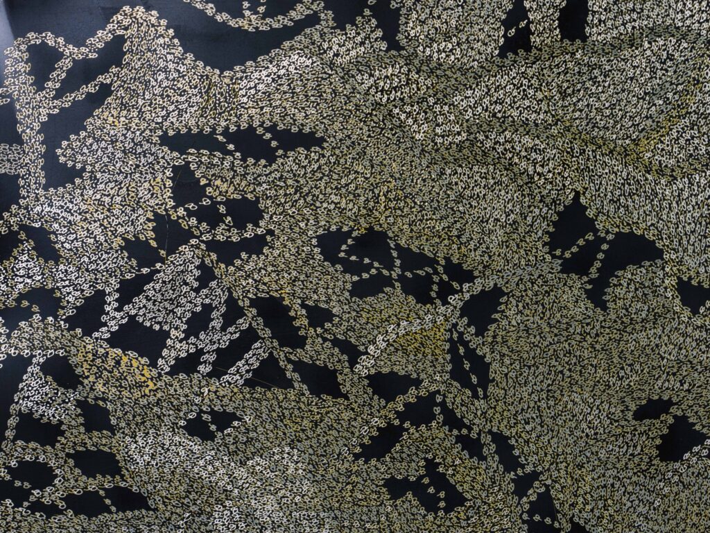 99 Finalists Announced for the 2025 Ravenswood Australian Women’s Art Prize