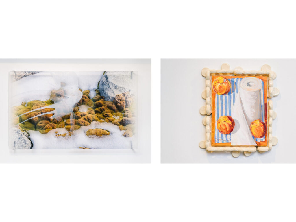 Janet Laurence Awarded Australia’s Highest-Valued Art Prize for Women